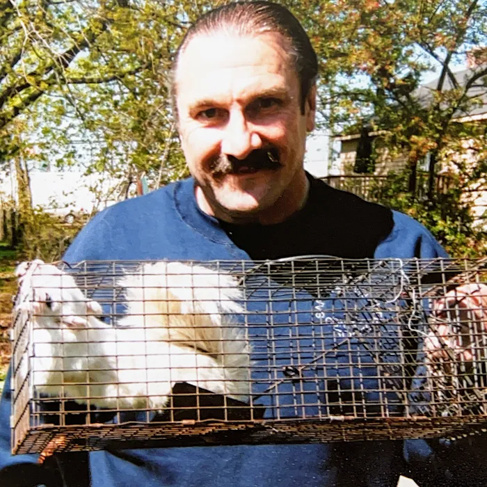Safeway Wildlife Control Picture 5