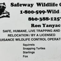 Safeway Wildlife Control ico