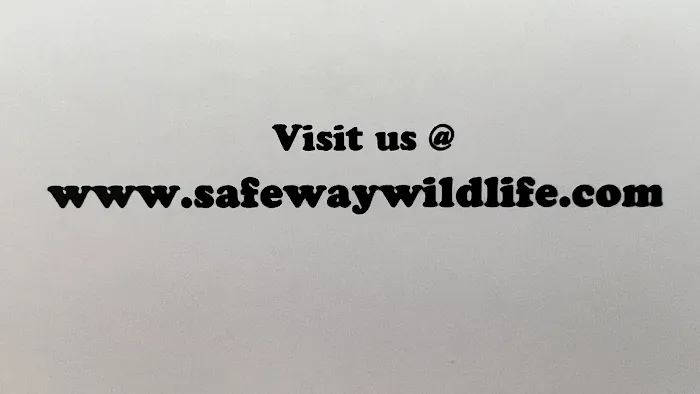 Safeway Wildlife Control Picture 3