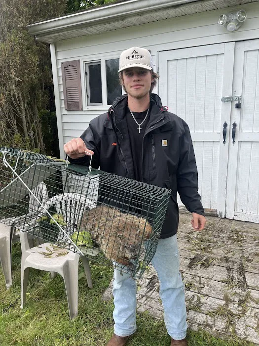 Floyd's Pest & Wildlife Control Picture 8