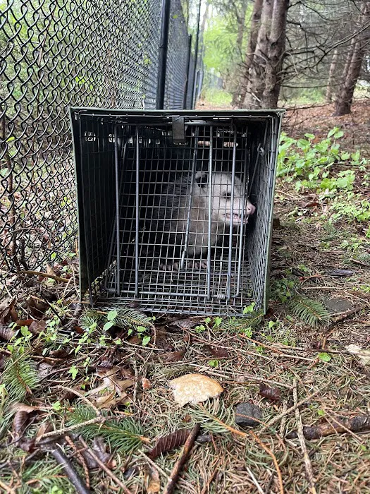 Floyd's Pest & Wildlife Control Picture 4