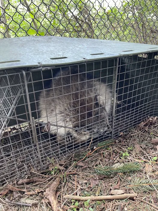 Floyd's Pest & Wildlife Control Picture 5