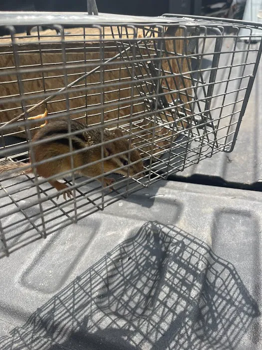 Floyd's Pest & Wildlife Control Picture 1