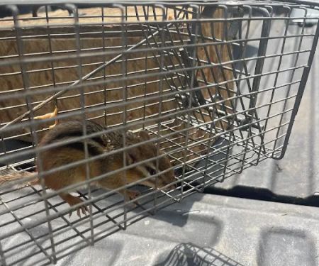 Floyd's Pest & Wildlife Control