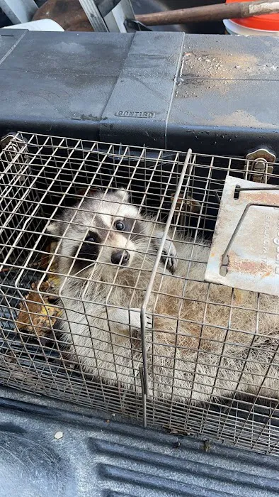 Floyd's Pest & Wildlife Control Picture 7