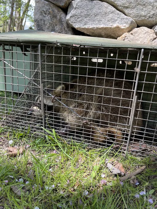 Floyd's Pest & Wildlife Control Picture 3