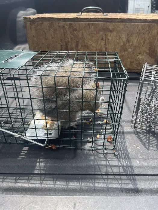 Floyd's Pest & Wildlife Control Picture 2