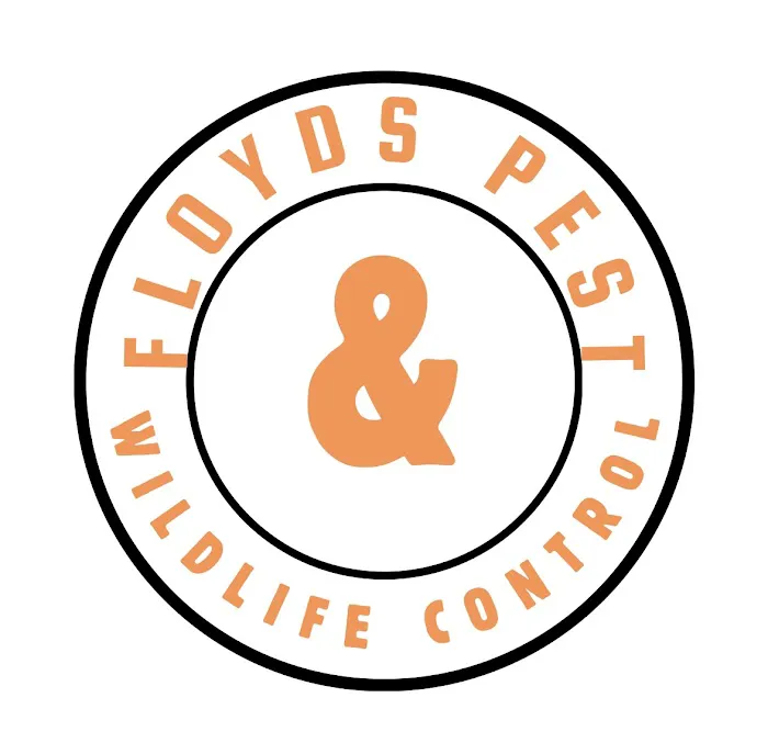 Floyd's Pest & Wildlife Control Picture 6