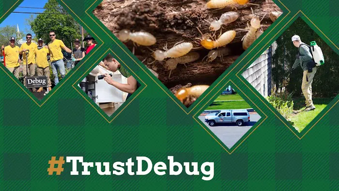Debug Pest Control Picture 4