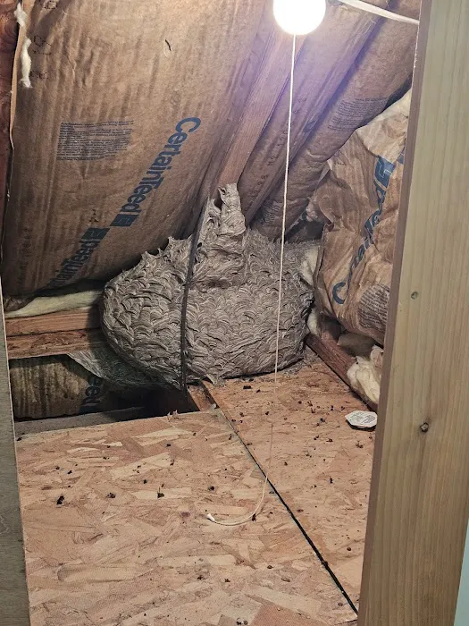 Debug Pest Control Picture 3