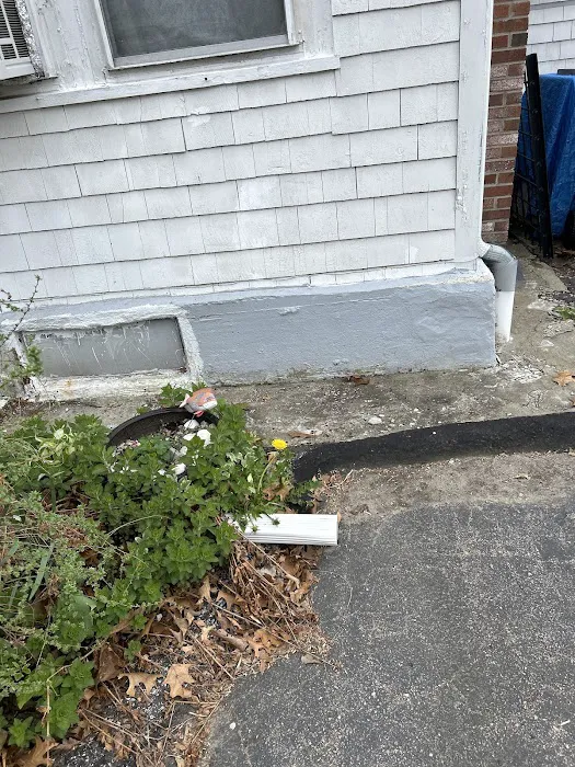 Debug Pest Control Picture 5