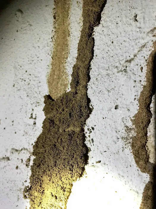 Resolution Pest Picture 10