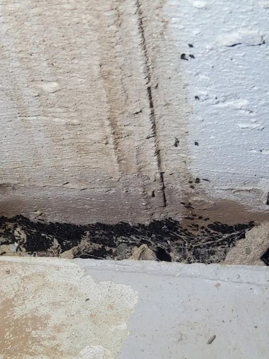 Connelly Pest Control LLC Picture 4