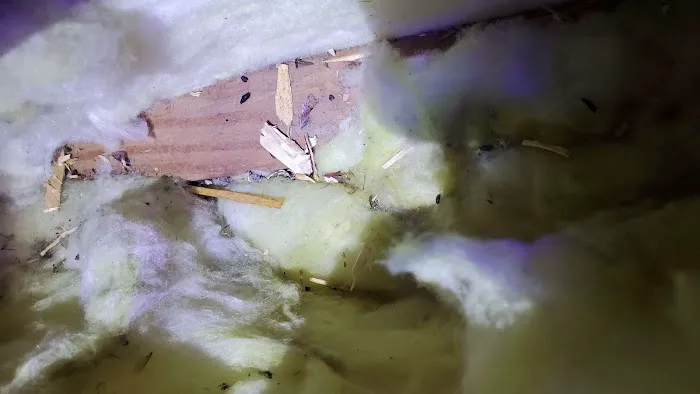 Connelly Pest Control LLC Picture 7