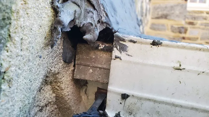 Connelly Pest Control LLC Picture 8