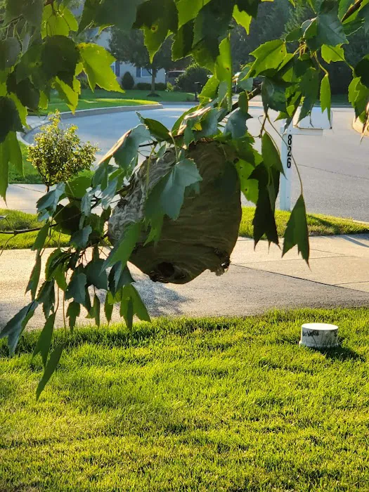 Connelly Pest Control LLC Picture 5