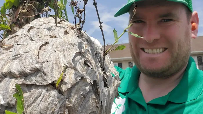 Connelly Pest Control LLC Picture 2