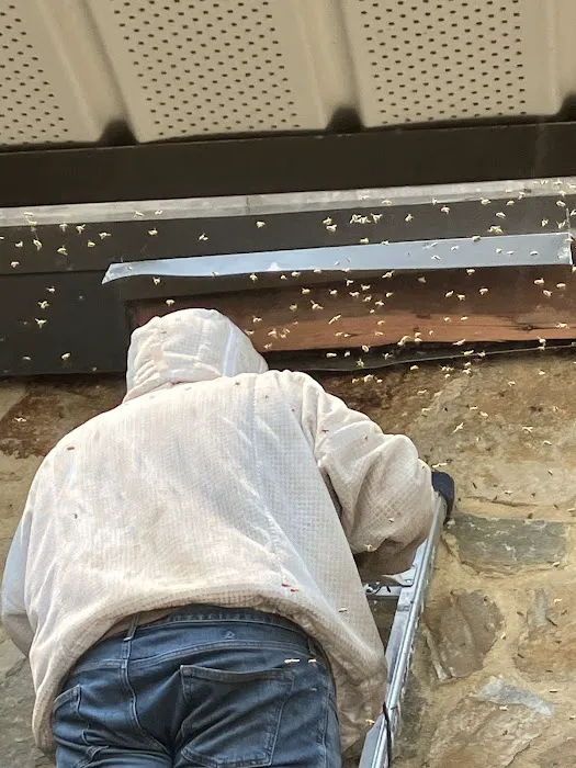 Philadelphia Bee Company Picture 3