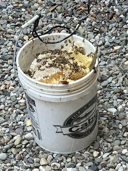Philadelphia Bee Company Picture 1