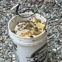 Philadelphia Bee Company ico