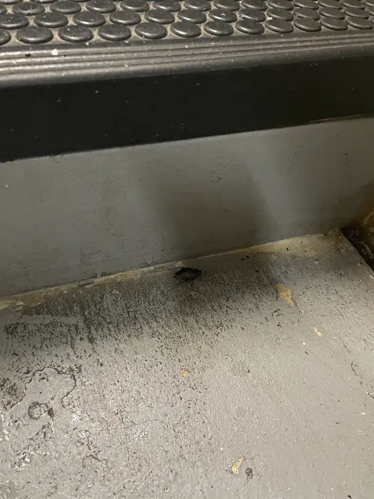 Expert Exterminating Philadelphia Picture 3