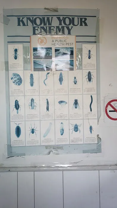 NoBugs! Picture 6