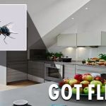City Best Pest Control