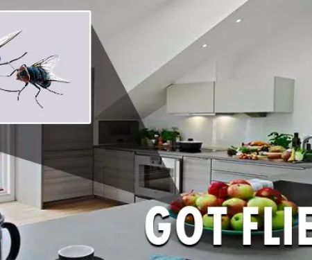 City Best Pest Control