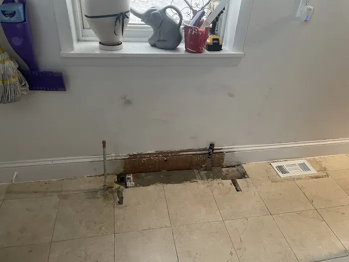 City Best Pest Control Picture 10