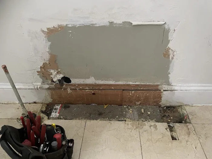 City Best Pest Control Picture 3