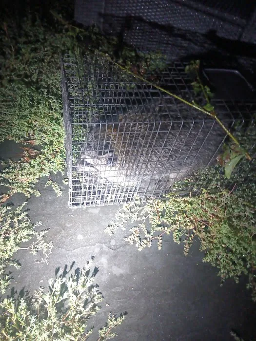 Baxter Pest Control Picture 8
