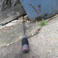 Baxter Pest Control ico