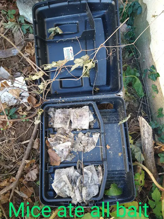 Baxter Pest Control Picture 7
