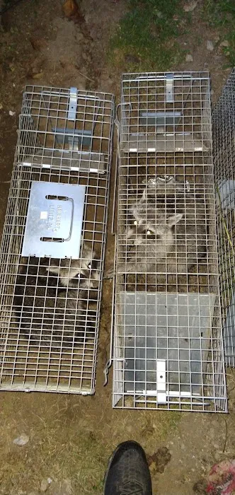 Baxter Pest Control Picture 3