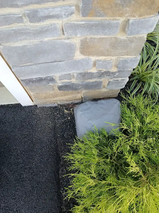 Baxter Pest Control Picture 9