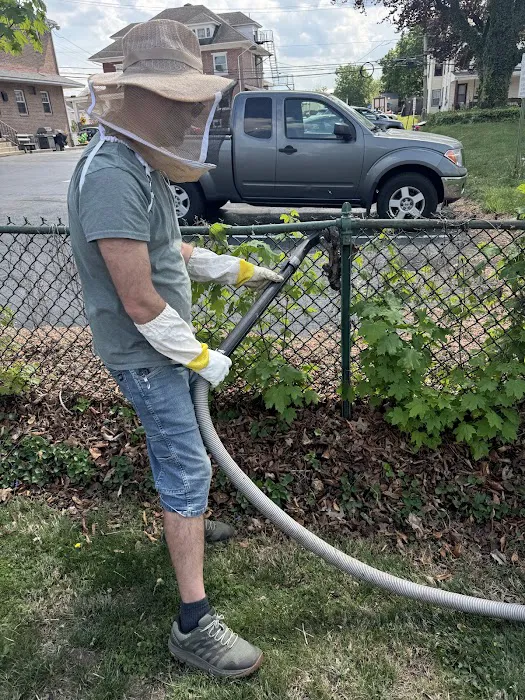 Honeybee Rescue Company Picture 10