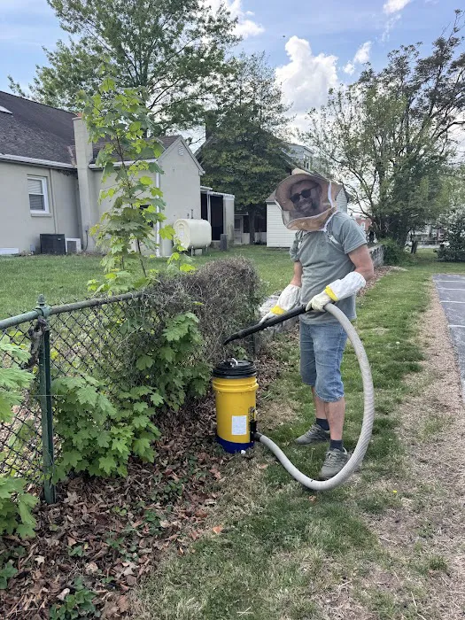 Honeybee Rescue Company Picture 4