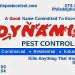 Dynamite Pest Control