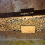 Evans Pest Control Inc