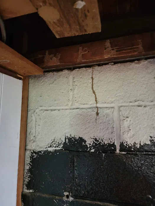 Delco Pest & Termite Service LLC Picture 3