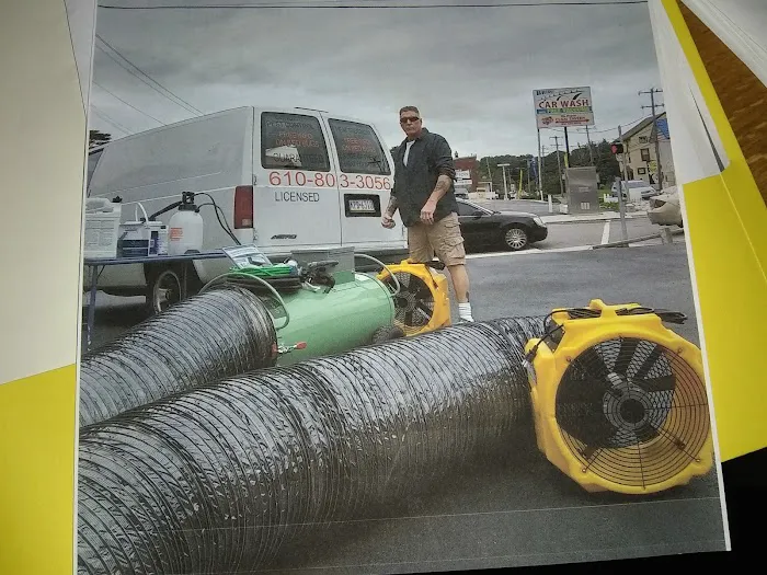 Concise Pest Control Picture 7