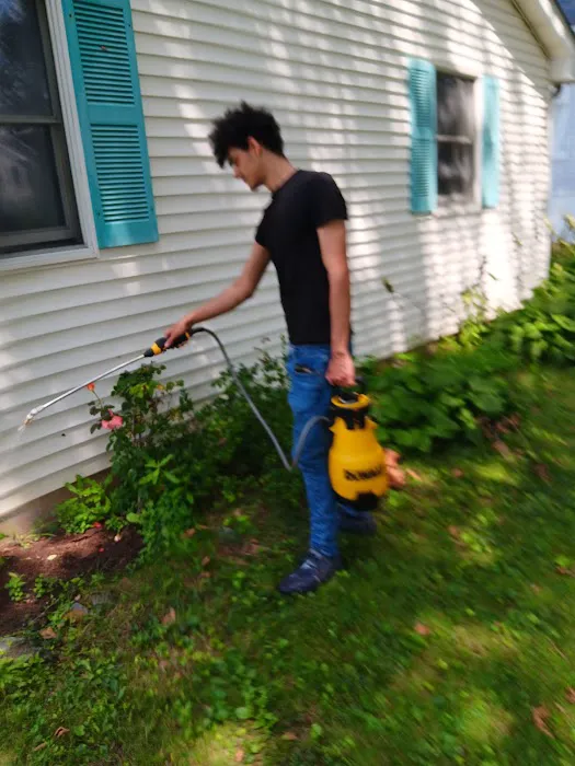Concise Pest Control Picture 8