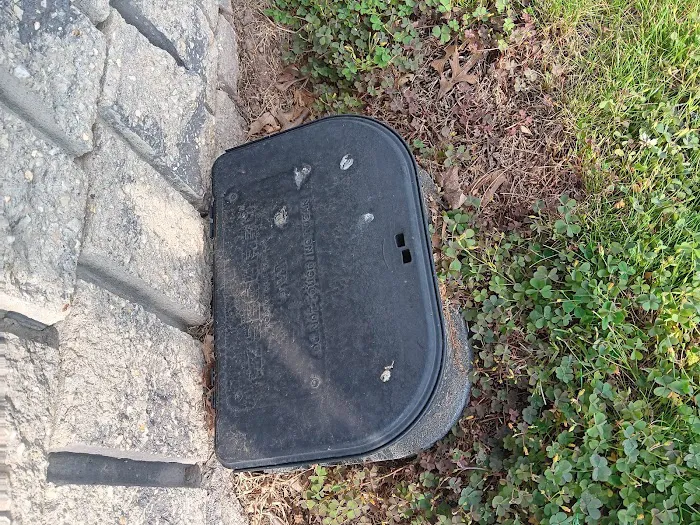 Concise Pest Control Picture 3