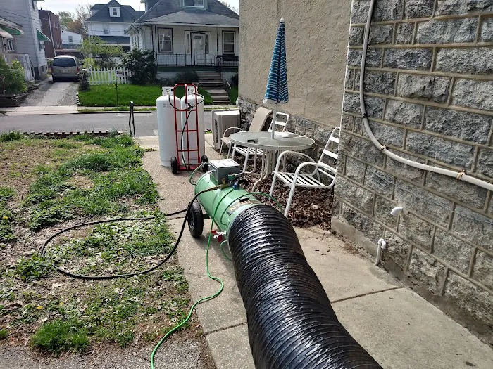 Concise Pest Control Picture 2