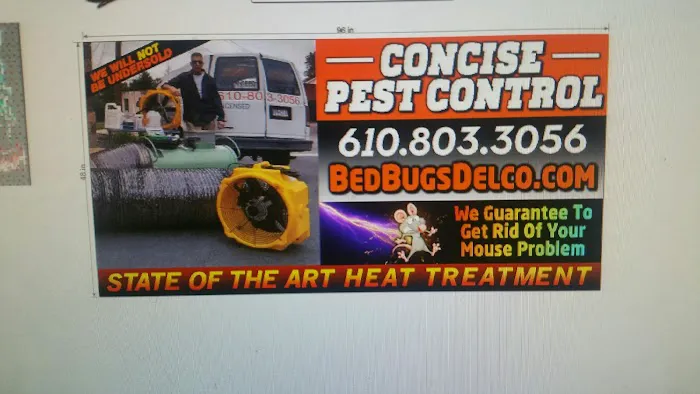 Concise Pest Control Picture 1