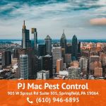 PJ Mac Pest Control