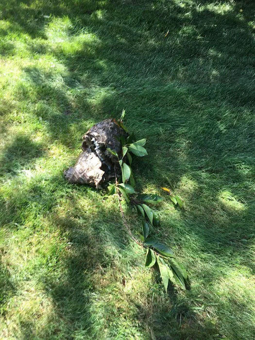 Eagle Pest Management, Inc. Picture 6