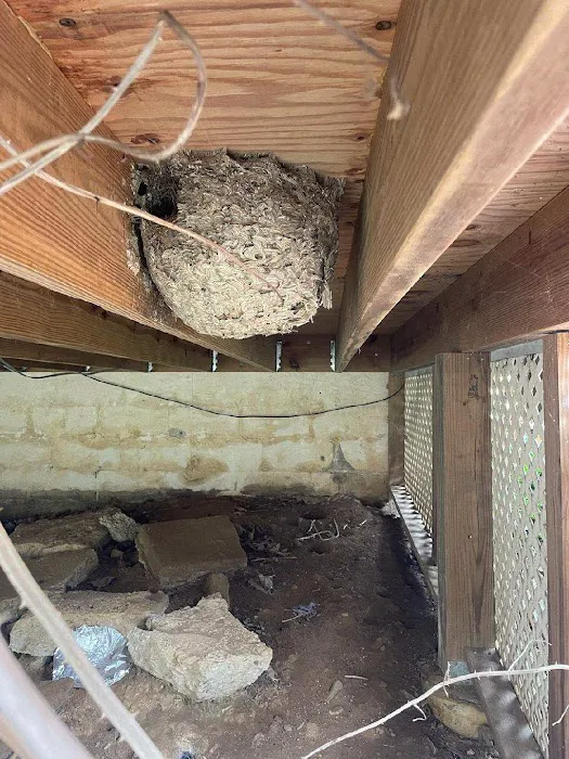 Eagle Pest Management, Inc. Picture 4