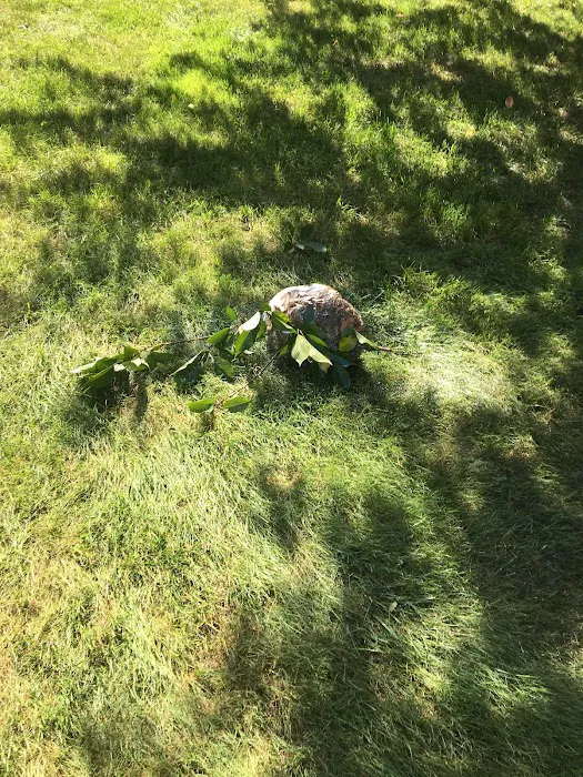 Eagle Pest Management, Inc. Picture 7