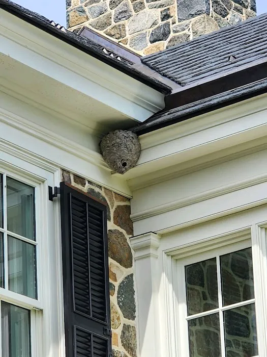 Eagle Pest Management, Inc. Picture 2